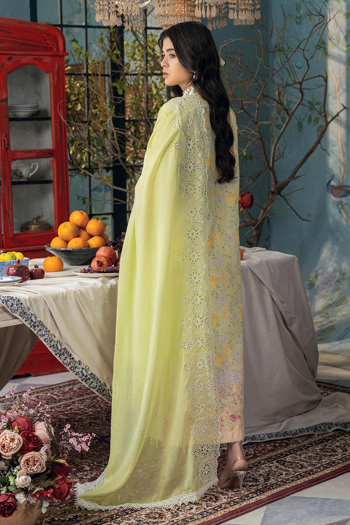 Rajbari | Chikankari Edition 24 | RJB-07 - House Of Anaya