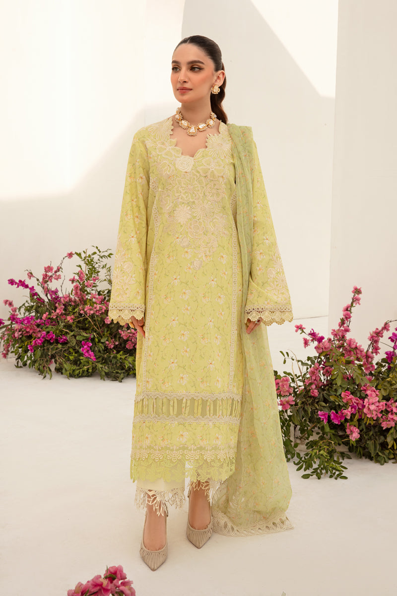 Rangrasiya | Florence Summer Edit 24 | Olivia