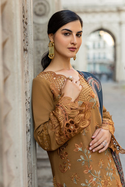 Rangrasiya | Carnation Winter Shawl | Autumn