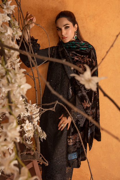 Rangrasiya | Premium Winter Edit 24 |  Espresso