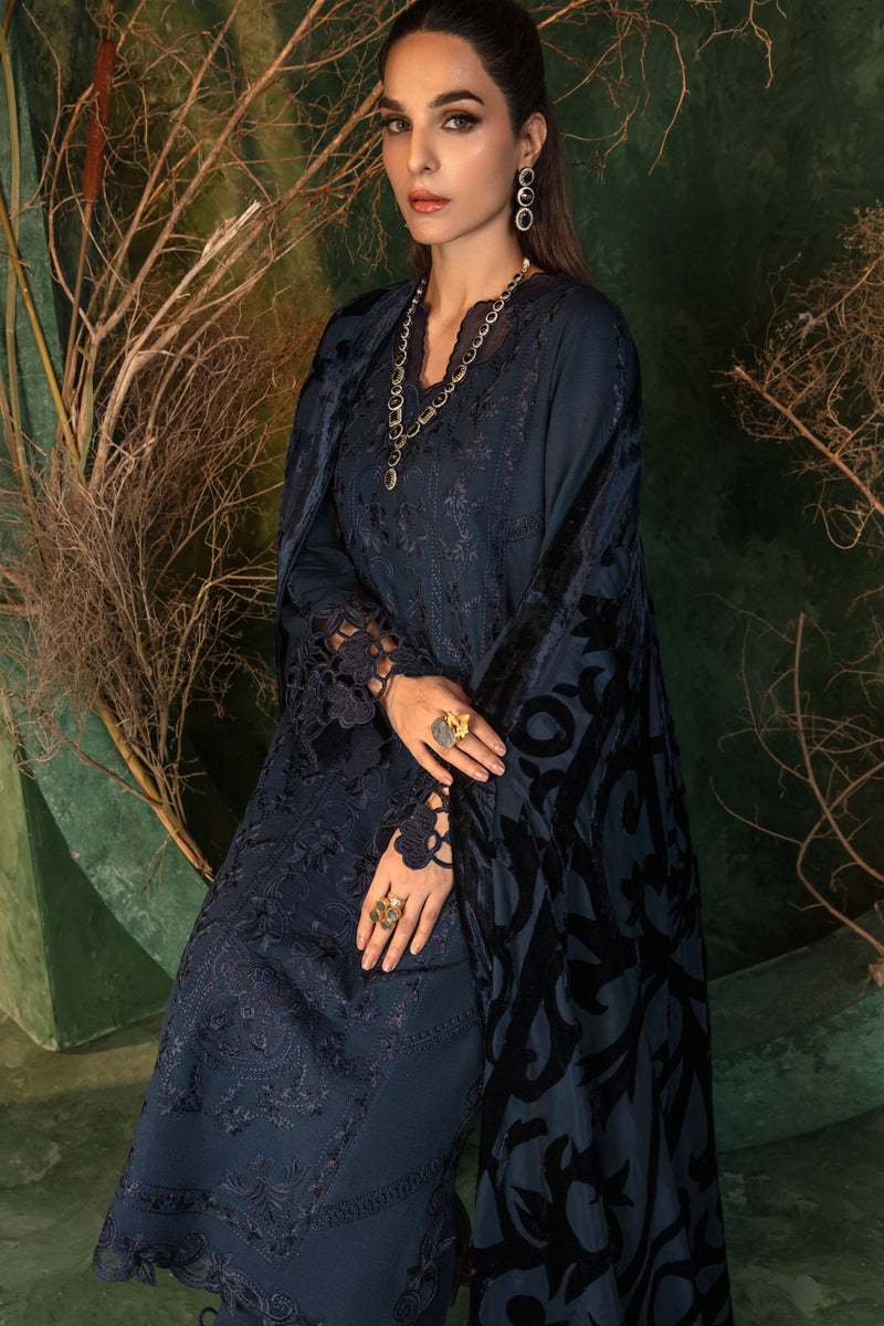 Rangrasiya | Premium Winter Edit 24 |  Americano