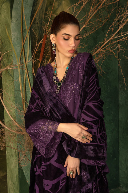 Rangrasiya | Premium Winter Edit 24 |  Cortado