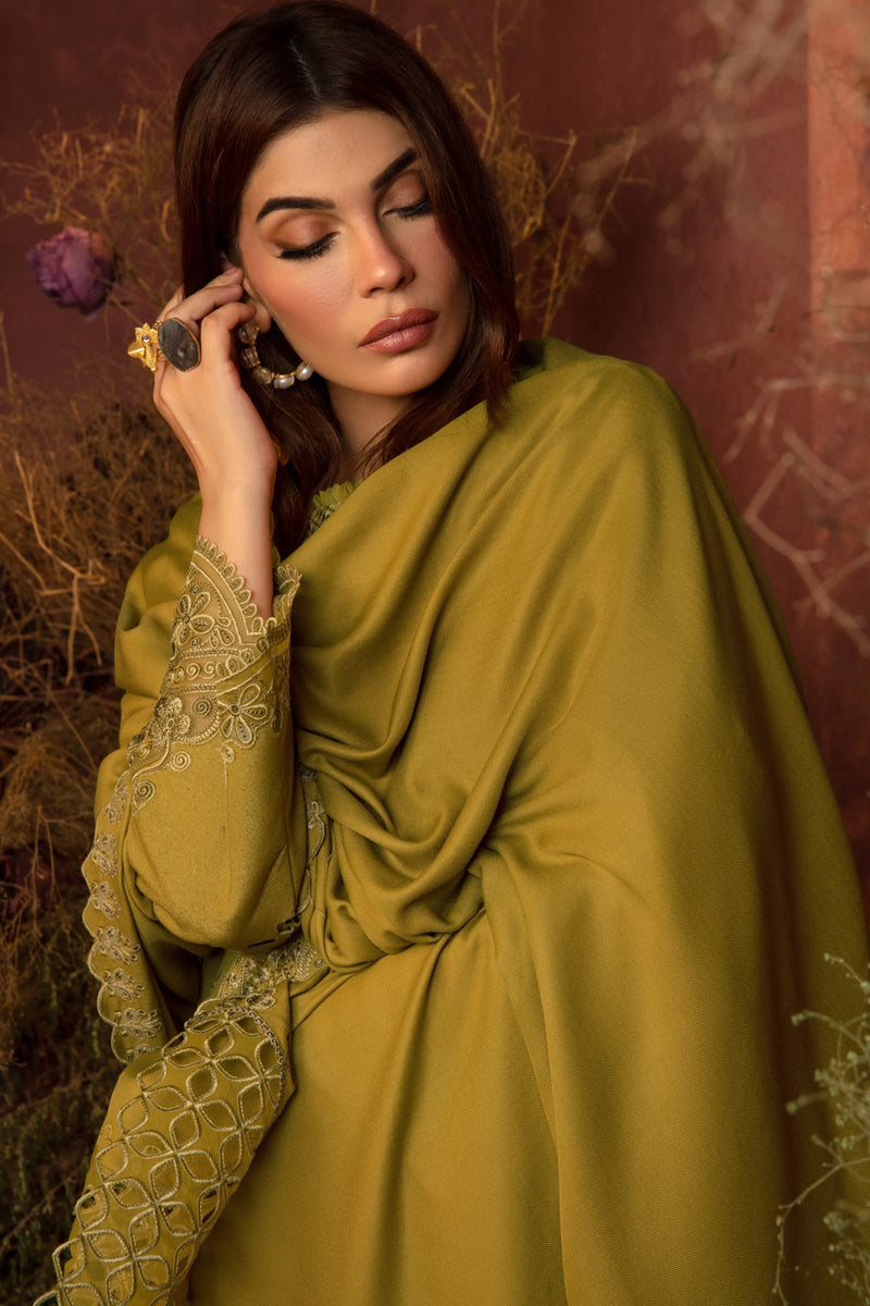 Rangrasiya | Premium Winter Edit 24 |  Cardamom