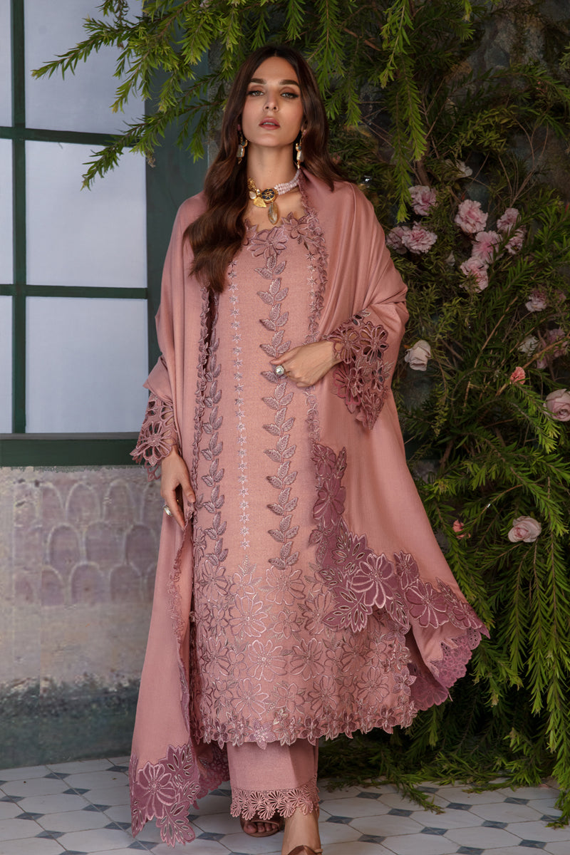 Rangrasiya | Premium Winter Edit 24 |  Chai