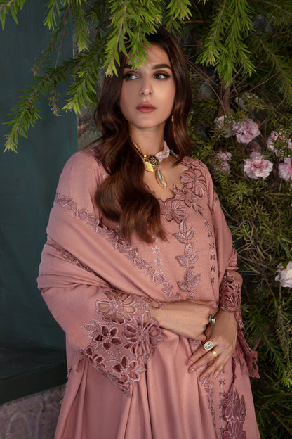 Rangrasiya | Premium Winter Edit 24 |  Chai