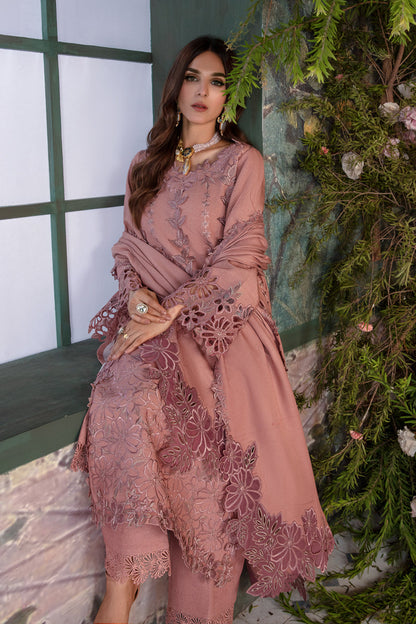 Rangrasiya | Premium Winter Edit 24 |  Chai