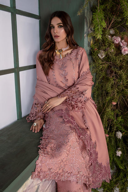 Rangrasiya | Premium Winter Edit 24 |  Chai