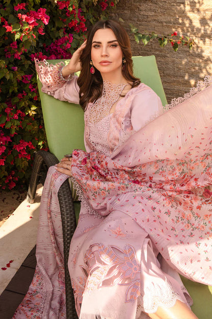 Rangrasiya | Carnation Summer 24 | Zinnia