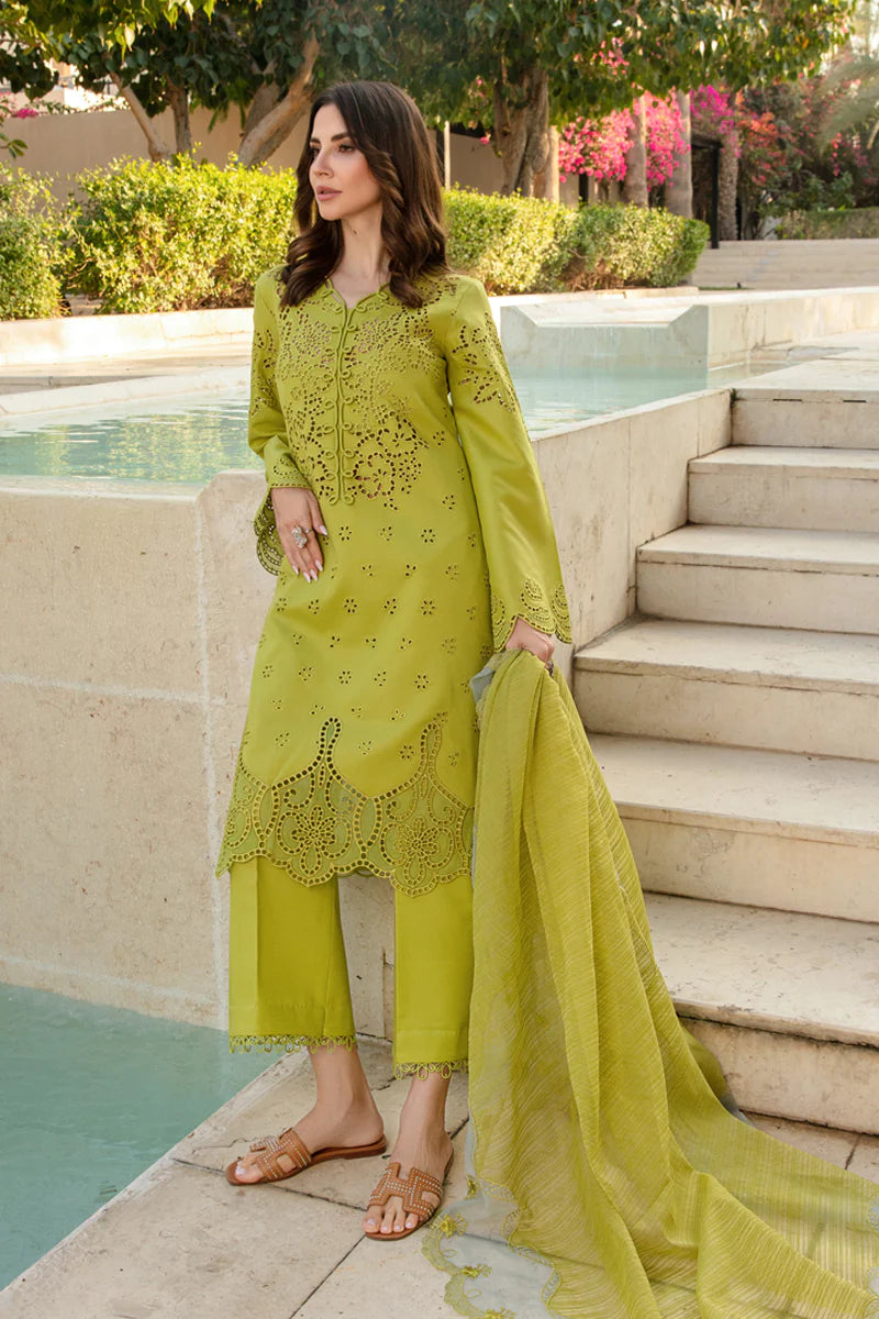 Rangrasiya | Carnation Summer 24 | FAREESIA