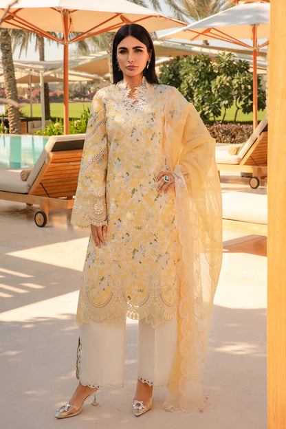 Rangrasiya | Carnation Summer 24 | Ariana