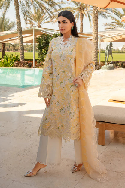 Rangrasiya | Carnation Summer 24 | Ariana