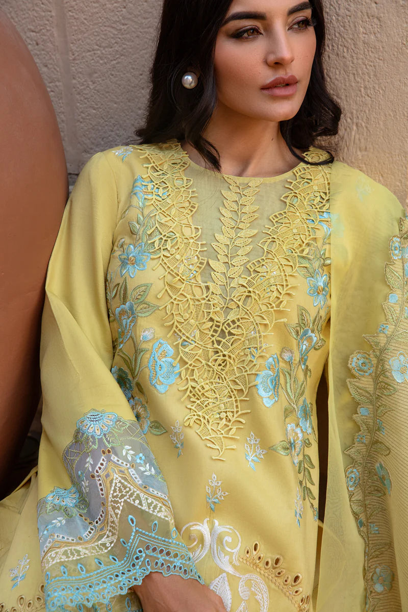 Rangrasiya | Premium Lawn 24 | Amani
