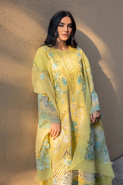 Rangrasiya | Premium Lawn 24 | Amani