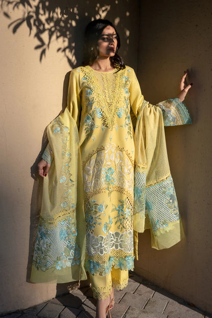 Rangrasiya | Premium Lawn 24 | Amani