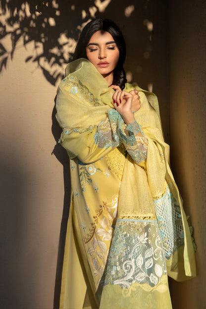 Rangrasiya | Premium Lawn 24 | Amani
