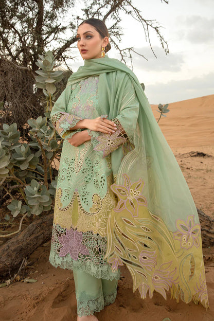 Rangrasiya | Premium Lawn 24 | Elnaz