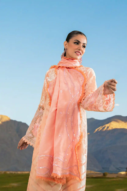 Sable Vogue | Winter 23 | SWC-01-23 - House Of Anaya