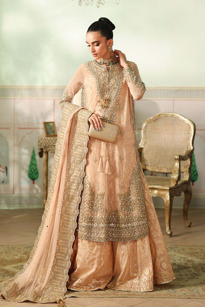 Maria B | Pre Fall Dresses | 3 Piece Embroidered Net Suit EE
