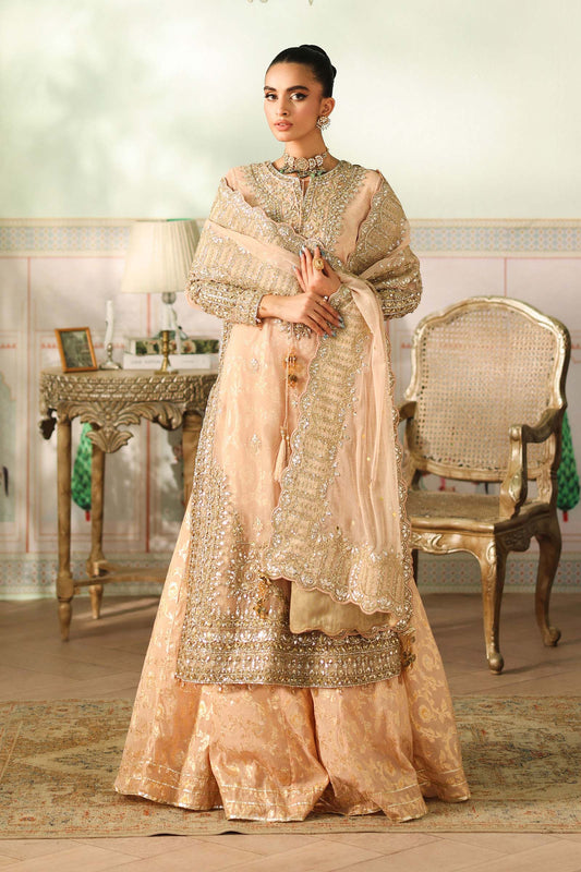 Maria B | Pre Fall Dresses | 3 Piece Embroidered Net Suit EE