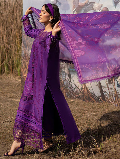 Parishay | Shangrila Summer Edit 25 | SHG - 11