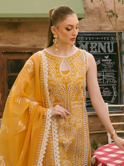 Mahnur | Mahrukh Eid Edit 24 | SUNFLOWER - House Of Anaya