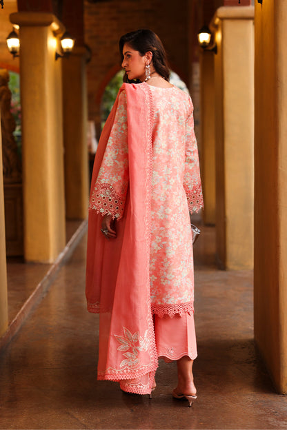 Rangrasiya | Florence Summer Edit 26 | Safina