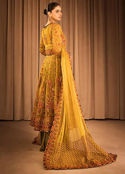 HSY | Rehana Collection 2023 | Ronak - House Of Anaya