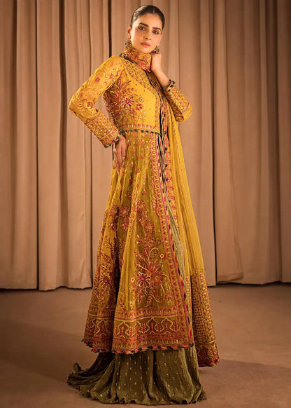 HSY | Rehana Collection 2023 | Ronak - House Of Anaya