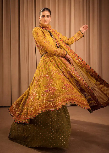 HSY | Rehana Collection 2023 | Ronak - House Of Anaya