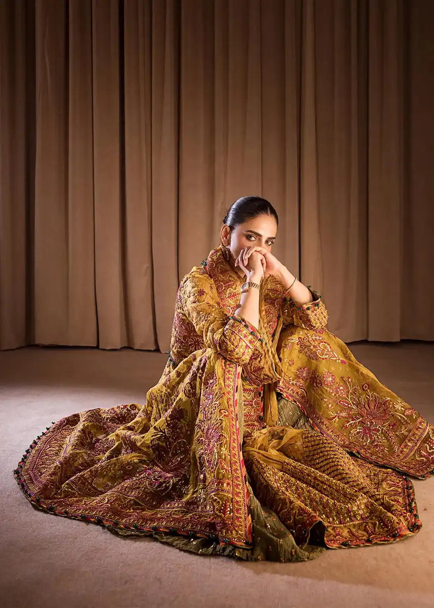 HSY | Rehana Collection 2023 | Ronak - House Of Anaya