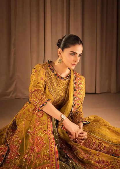 HSY | Rehana Collection 2023 | Ronak - House Of Anaya