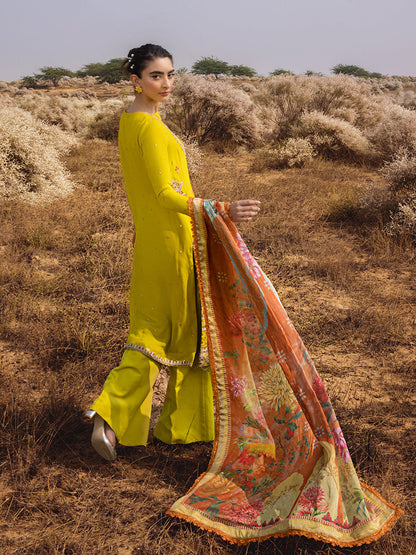 Salitex | Luxury Wear 24 | 26 - House Of Anaya