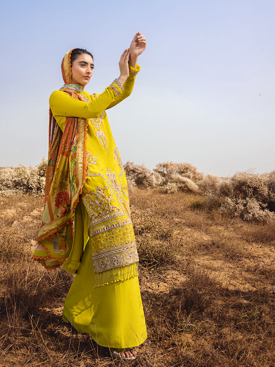 Salitex | Luxury Wear 24 | 26 - House Of Anaya