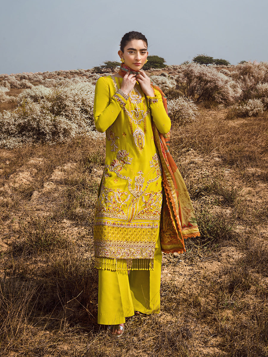 Salitex | Luxury Wear 24 | 26 - House Of Anaya