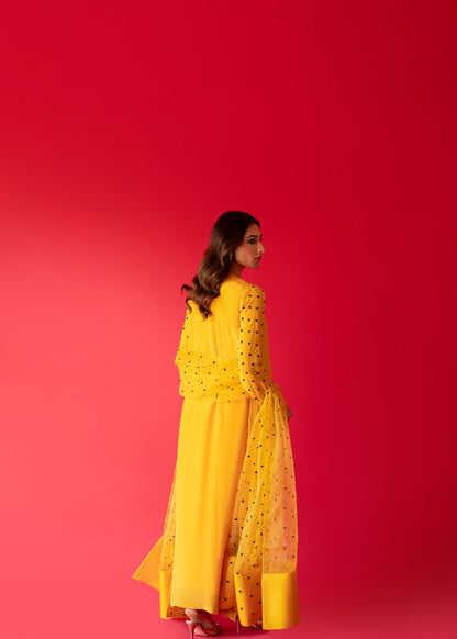 Sammy K | Taara Collection | SITARA - House Of Anaya