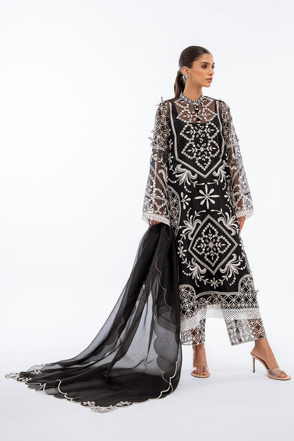Sania Maskatiya | Eid Collection | Nada (B) - House Of Anaya