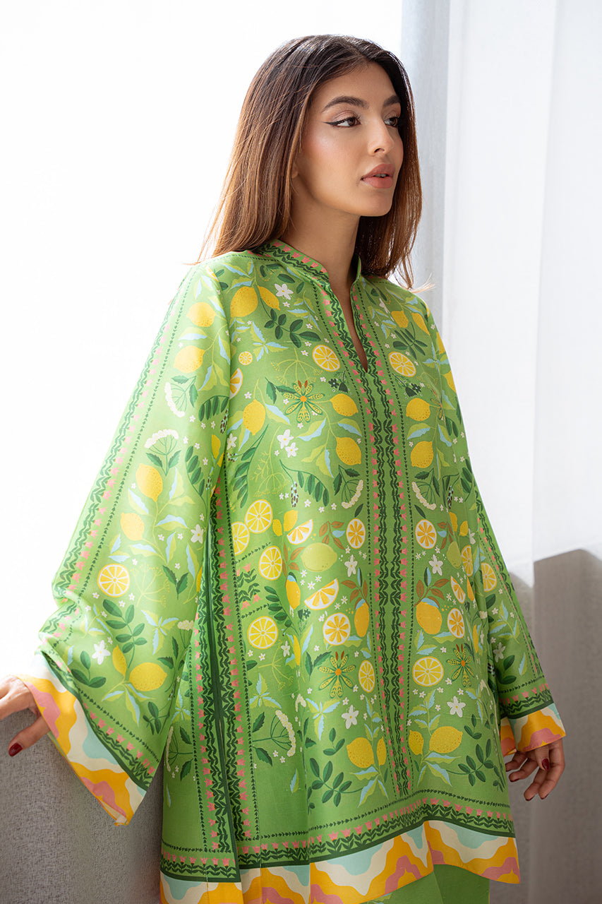 Sania Maskatiya | Eid Collection | Sheya - House Of Anaya