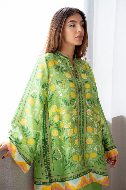Sania Maskatiya | Eid Collection | Sheya - House Of Anaya