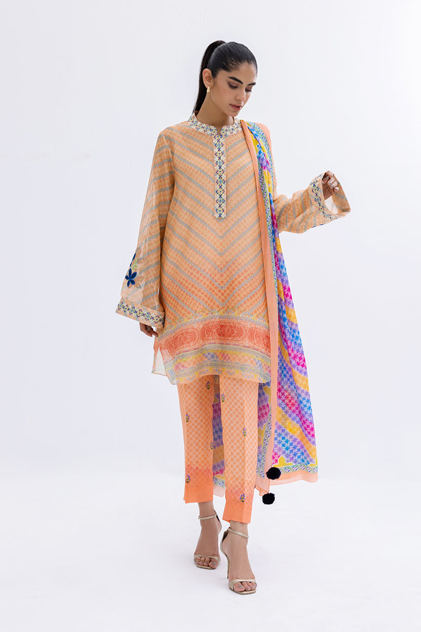 Sania Maskatiya | Eid Collection | Rika (A) - House Of Anaya