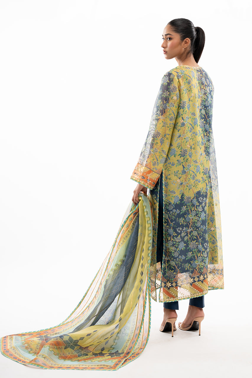 Sania Maskatiya | Eid Collection | Ain - House Of Anaya