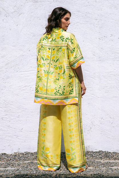 Sania Maskatiya | Eid Collection | Alva - House Of Anaya