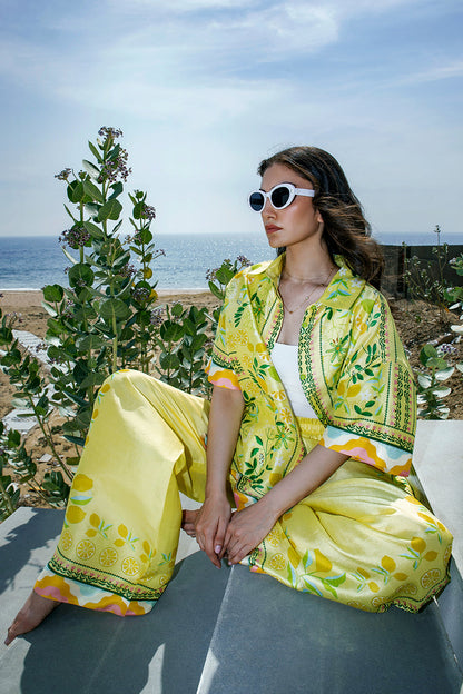 Sania Maskatiya | Eid Collection | Alva - House Of Anaya