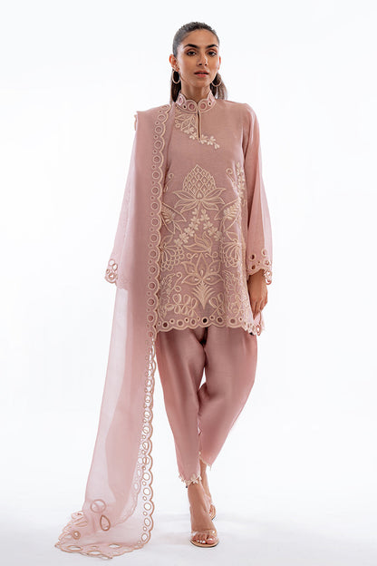 Sania Maskatiya | Eid Collection | Naia (B) - House Of Anaya