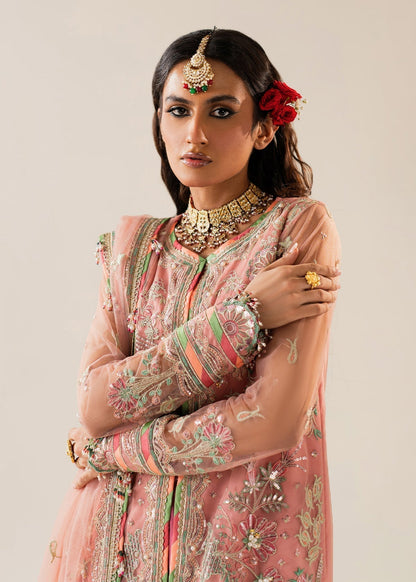 Shurooq | Zara Edit 24 |  Amtul - House Of Anaya