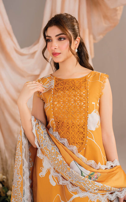 Asifa and Nabeel | Winter Meraki 24 | Solstice-MW-08 - House Of Anaya