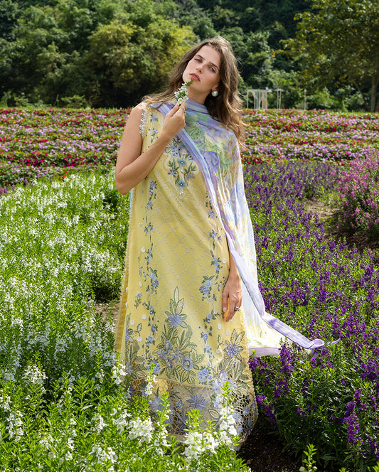 Mushq | Hemline the Secret Garden | Sunlit Meadow