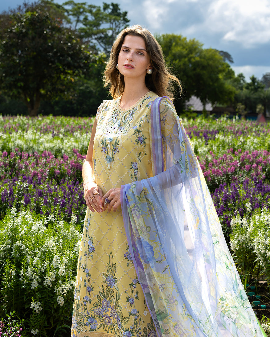 Mushq | Hemline the Secret Garden | Sunlit Meadow