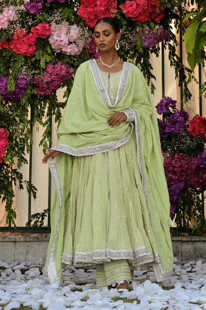 The Pink Tree Company | Wedding Wear | LEAFY BLUSH - House Of Anaya