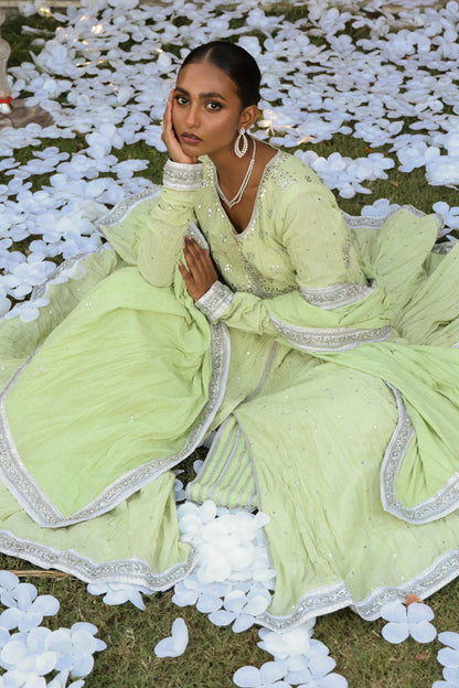 The Pink Tree Company | Wedding Wear | LEAFY BLUSH - House Of Anaya