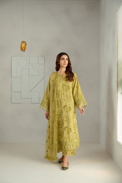 Taana Baana | Manzil Winter |  C3416A - House Of Anaya